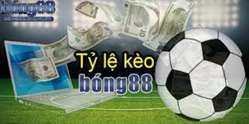 Nhà cái bong 88 phát triển hàng đầu để khách hàng tin dùng và phát triển đầu tư cá cược tại bong88